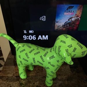 victoria’s Secret PINK neon green dog